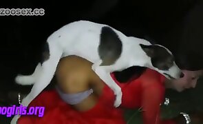dog sex, animal fucking